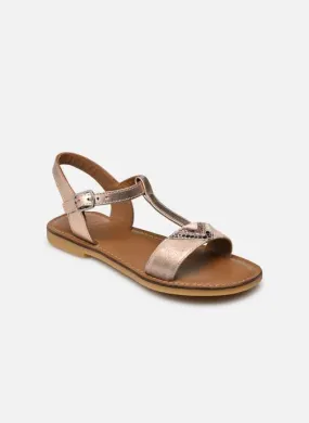      Adolie Lazar Delta - Goud en brons   